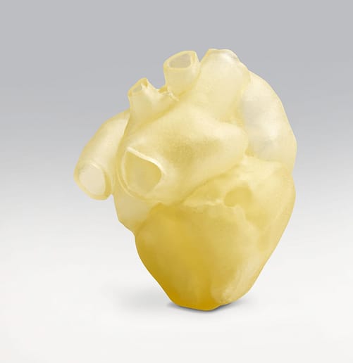 TissueMatrix  alapanyagból 3D nyomtatott anatómiai szív modell